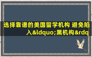 选择靠谱的美国留学机构 避免陷入“黑机构”陷阱